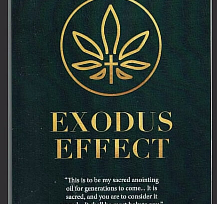 exodus effect reviews